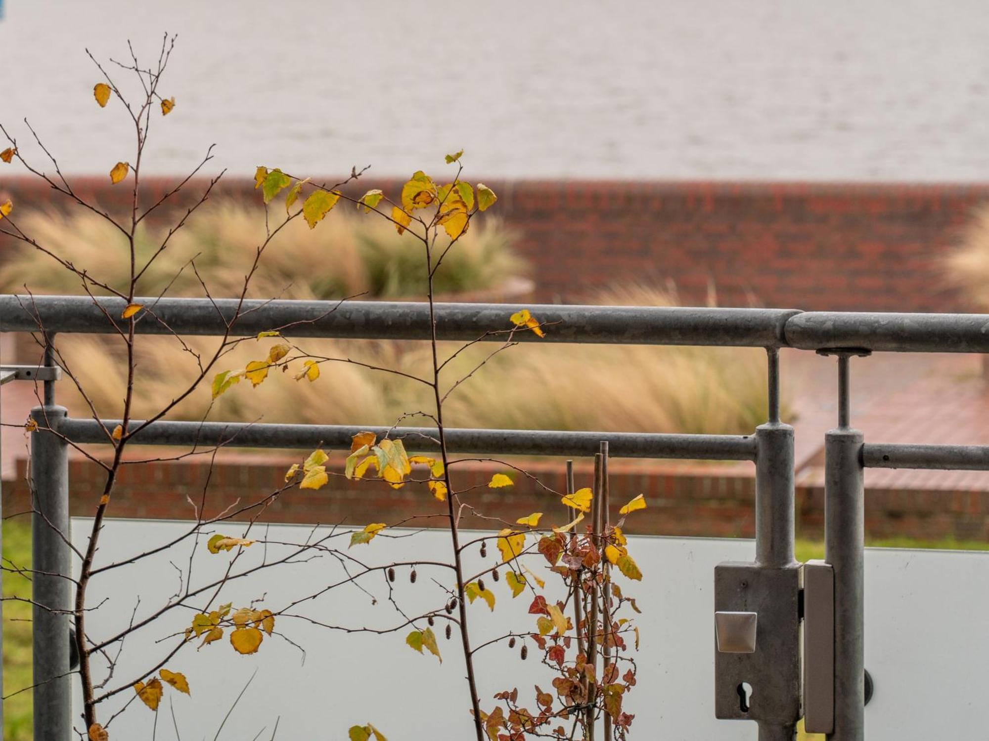 145 Meerblick Ferienwohnung Wilhelmshaven Bagian luar foto